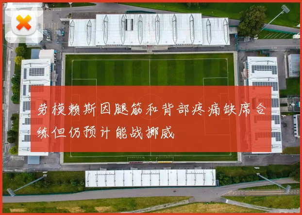 劳模赖斯因腿筋和背部疼痛缺席合练但仍预计能战挪威